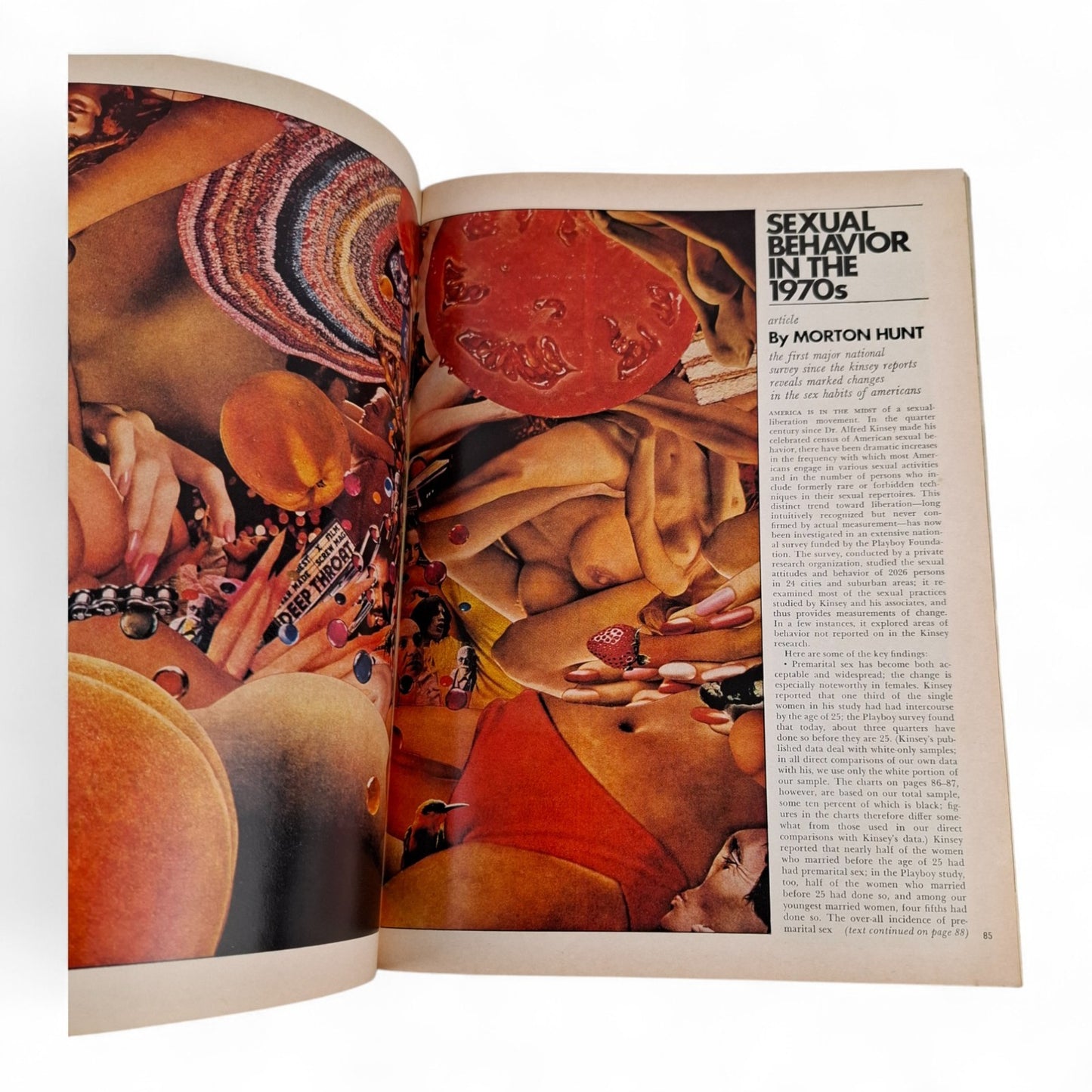 PLAYBOY Magazine October 1973 Sheila Ryan COMPLETE