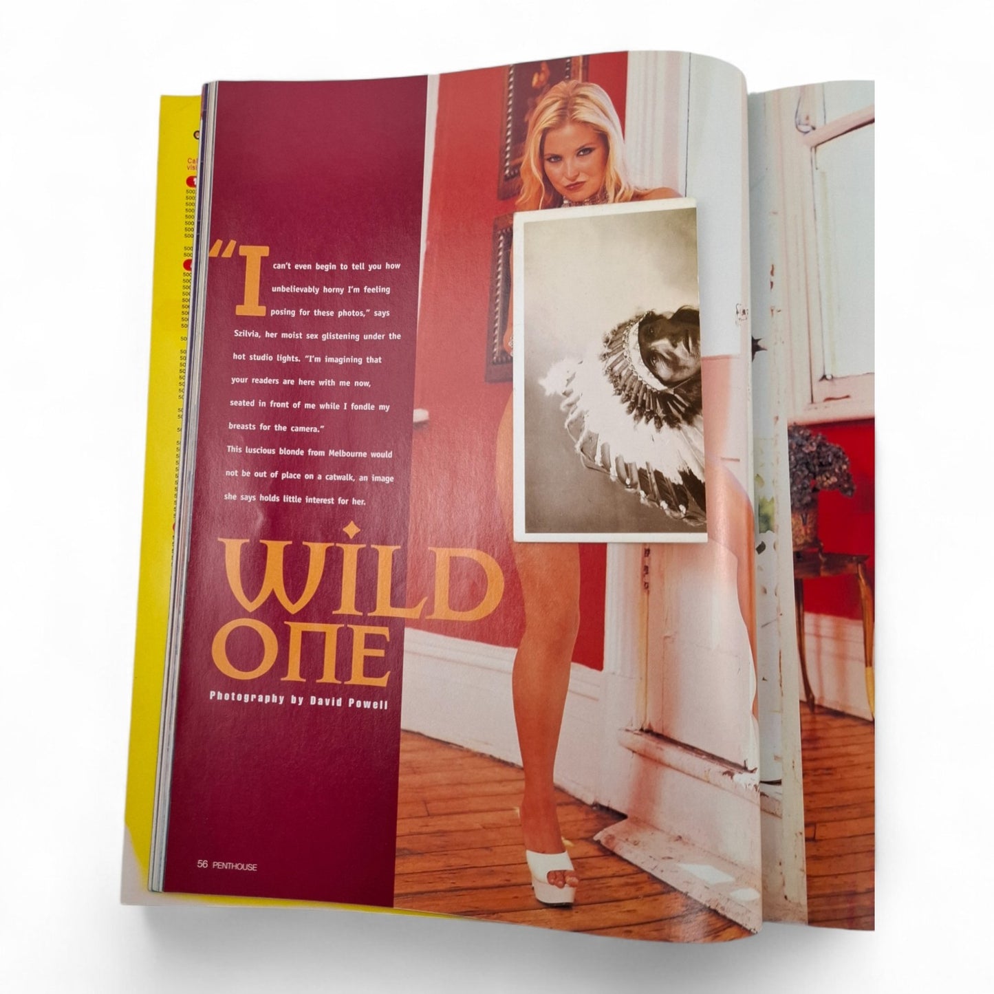 Australian Penthouse Magazine - Black Label May 2003 Szilvia