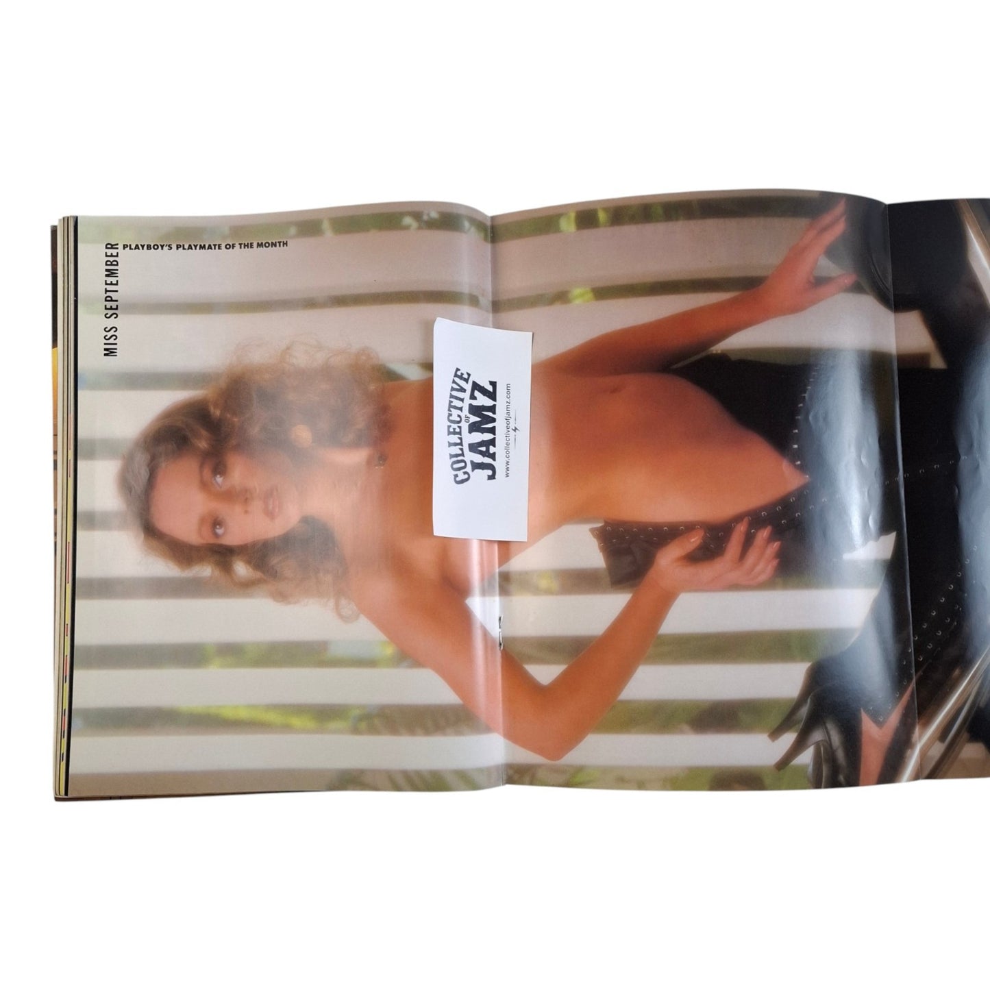 Australian Playboy Magazine September 1982 Sandi Shepherd