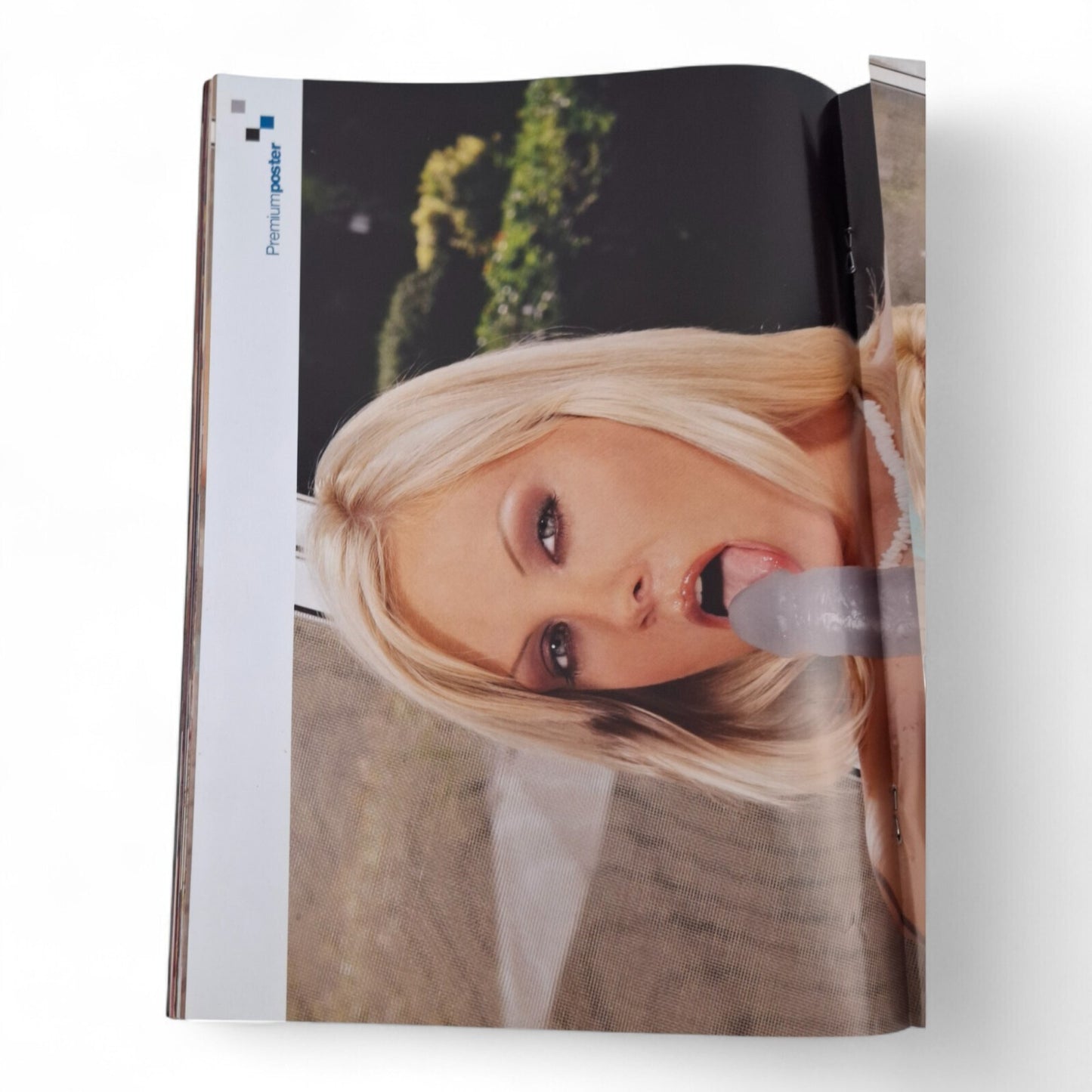 The Picture Premium Magazine Australian Issue 115 Excellent Mayfair - Playboy