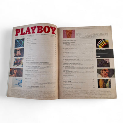 PLAYBOY Magazine US February 1979 - with Lee Ann Michelle centrefold