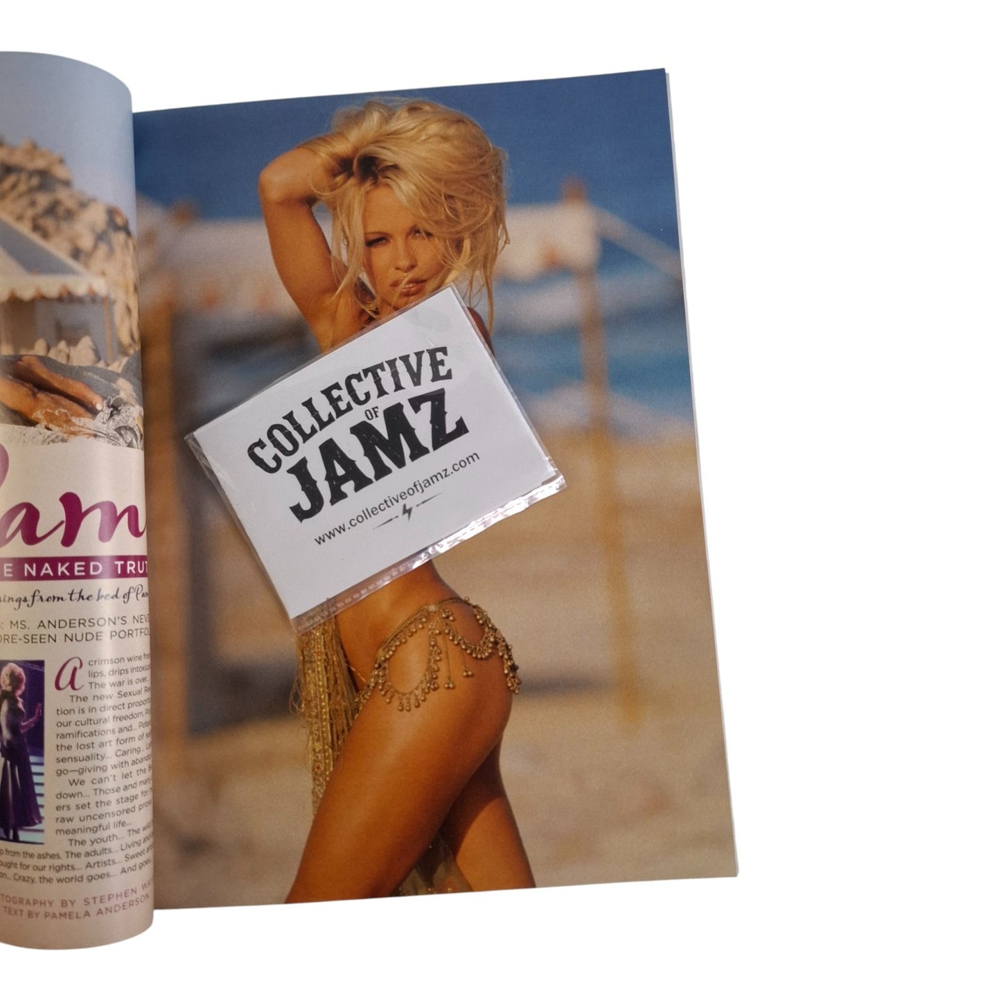 Playboy Magazine January 2011 Pamela Anderson / Sophia Berglund