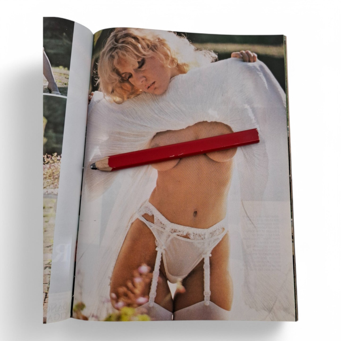 Vintage Mayfair Magazine Vol. 16 No. 4 April 1981 Playboy Pippa Forrest