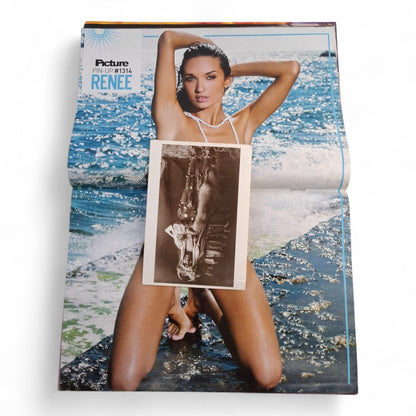 The Picture Magazine Australia Issue 1314 November 2013 Sophie Howard