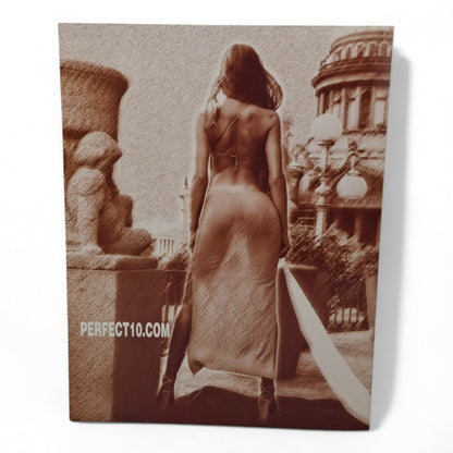 PERFECT 10 Magazine Spring 2002 All Natural Amber Smith Playboy Penthouse