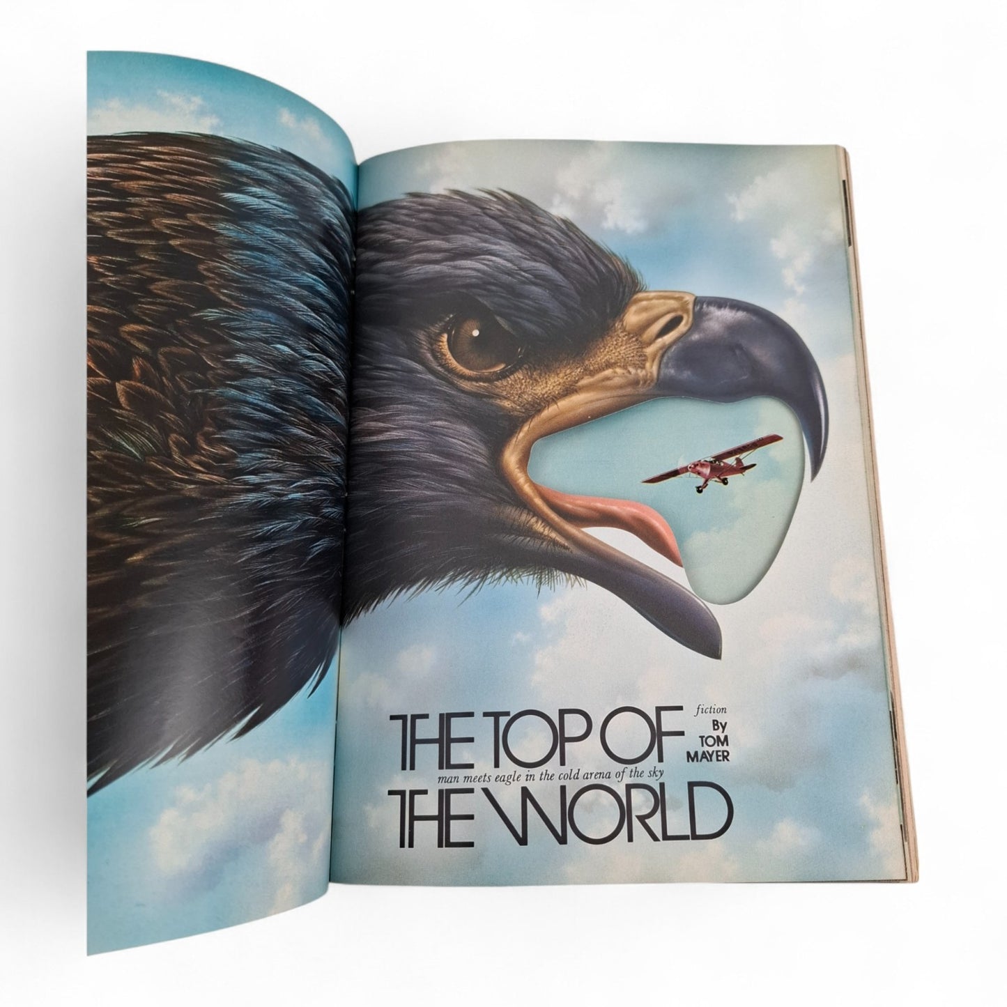 Playboy Magazine December 1974 Robyn Douglass COMPLETE