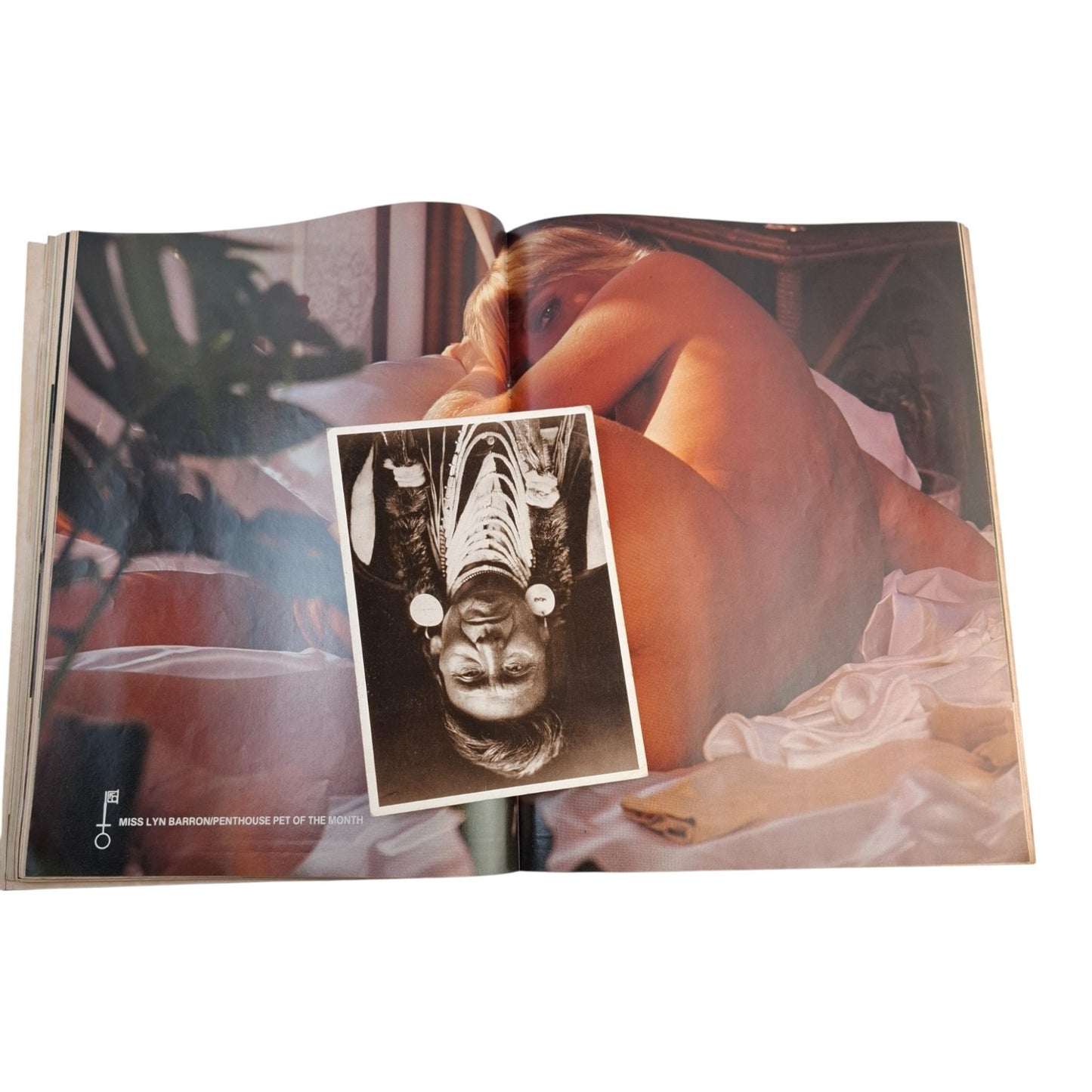 Australian PENTHOUSE Magazine  February 1980 Lyn Barron  / Debora Zullo