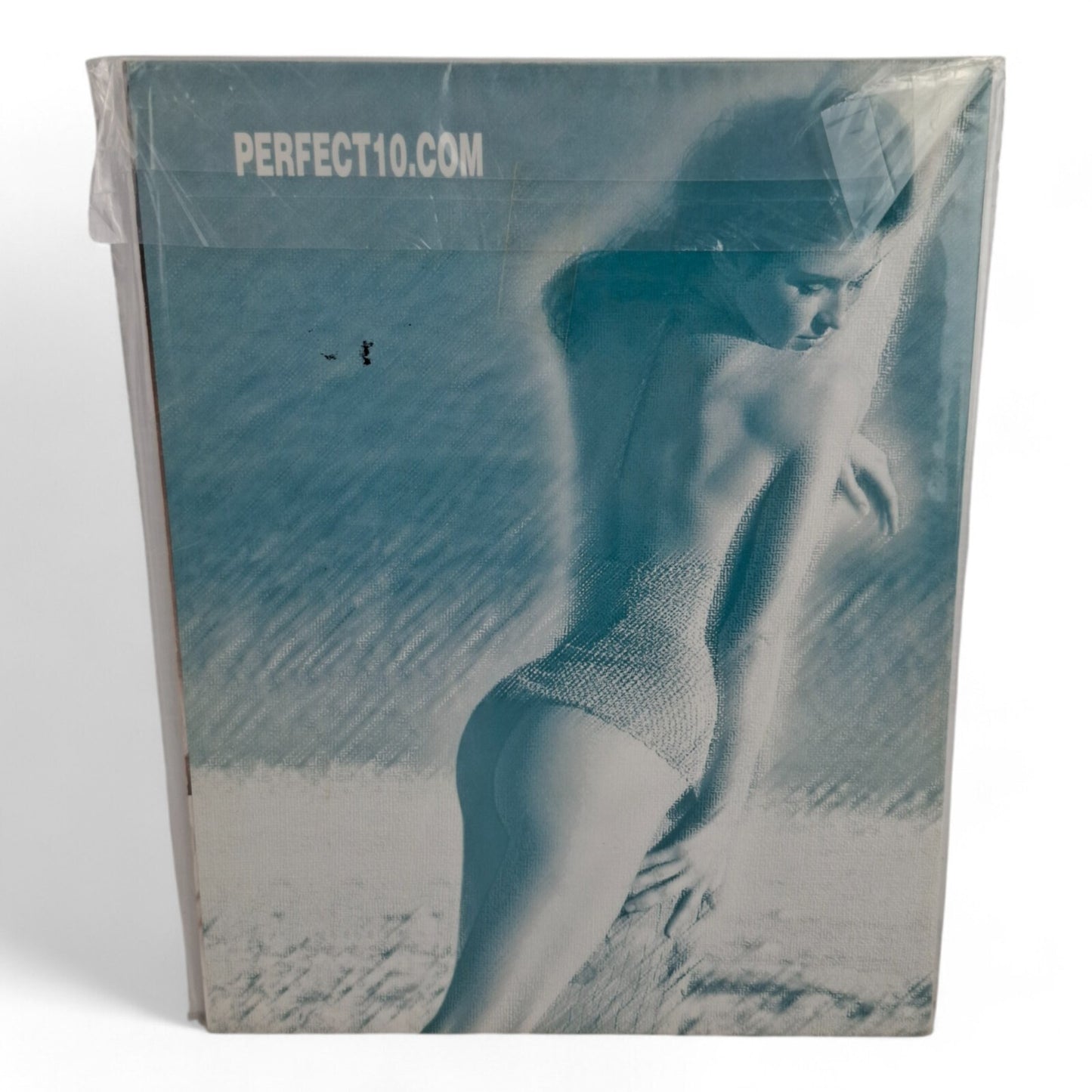 PERFECT 10 Magazine Spring 2001 All Natural Playboy Penthouse NEW SEALED