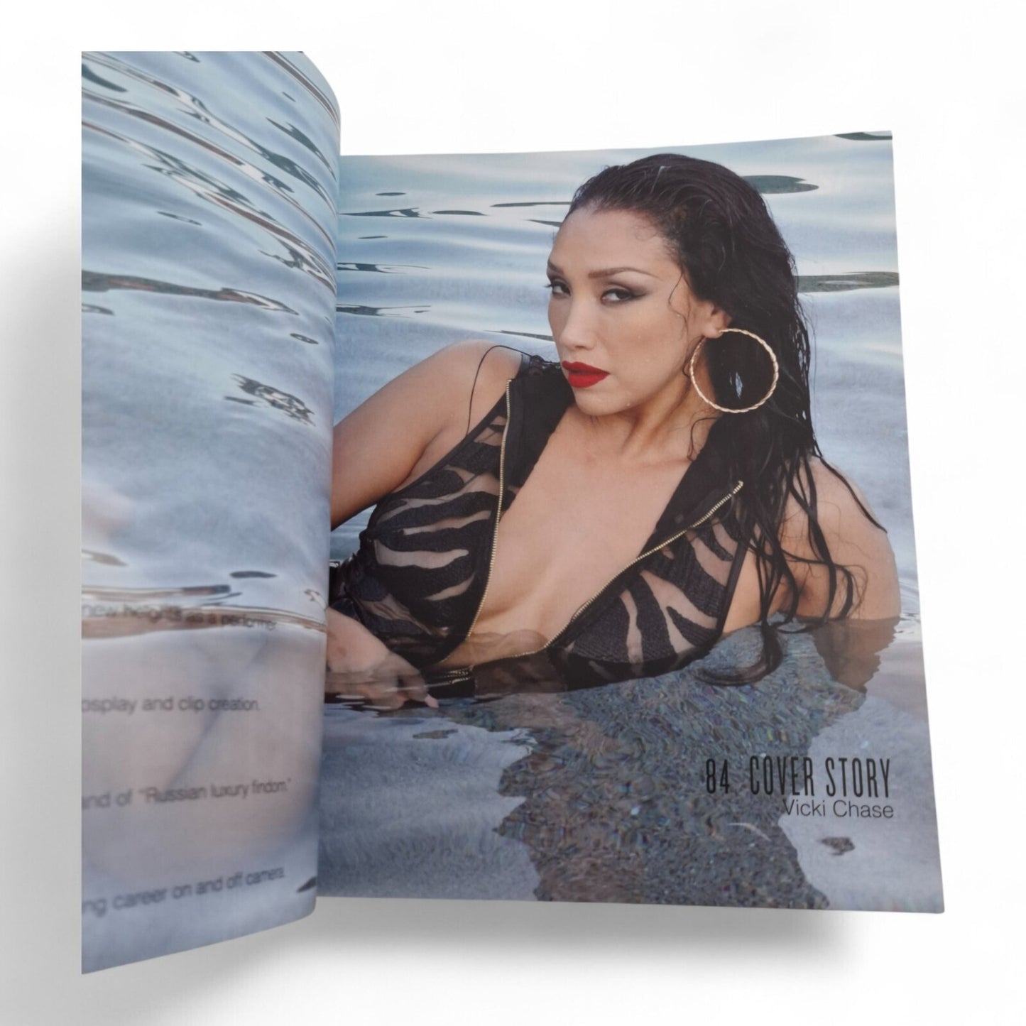 AVN February 2021 Issue 457 Vicki Chase Cover with Camstar Magazine Playboy