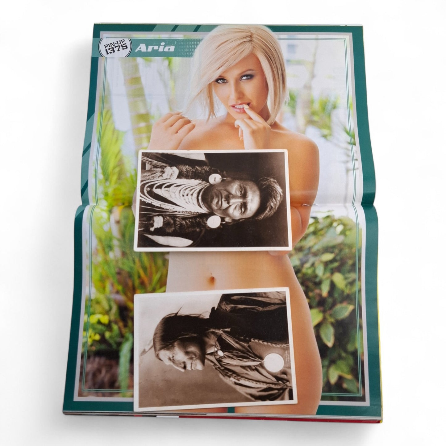 The Picture Magazine #1375 April 2015 Aria Luxe