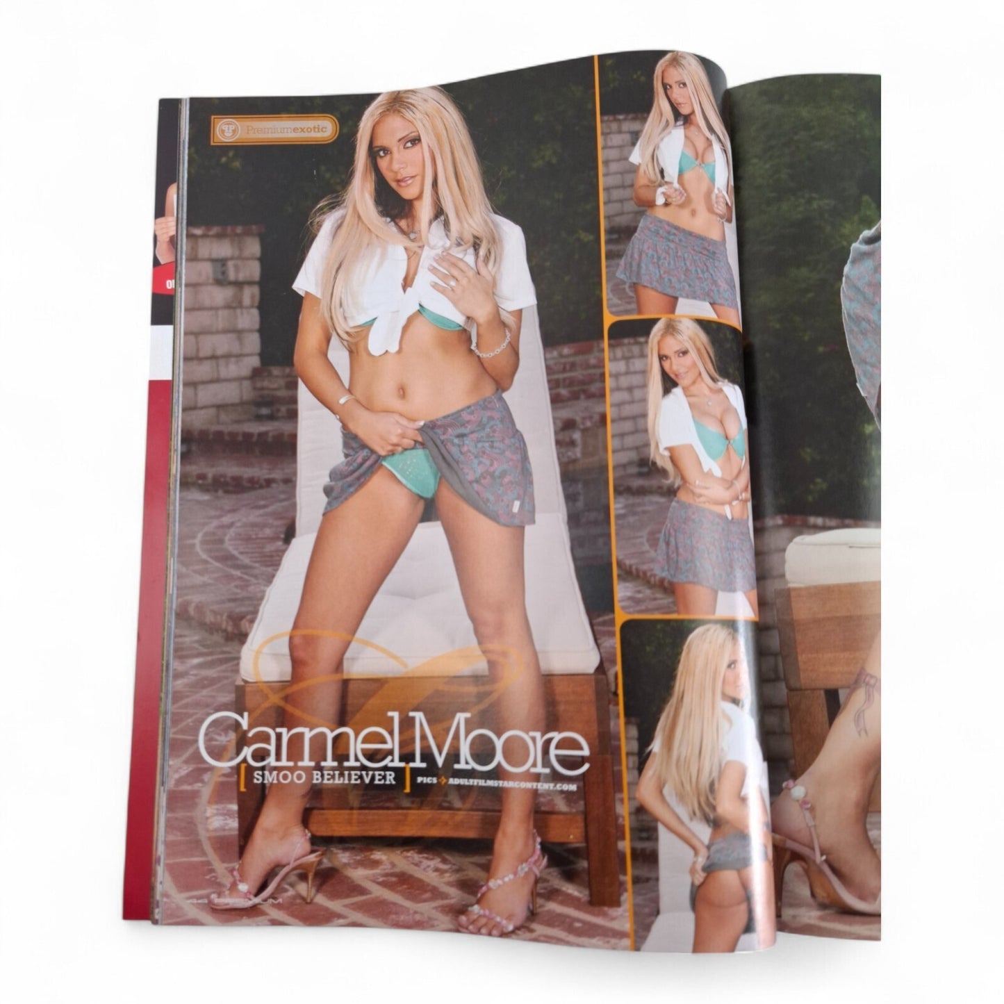 The Picture Premium Magazine Australian Issue 194 Excellent COMPLETE - PLAYBOY