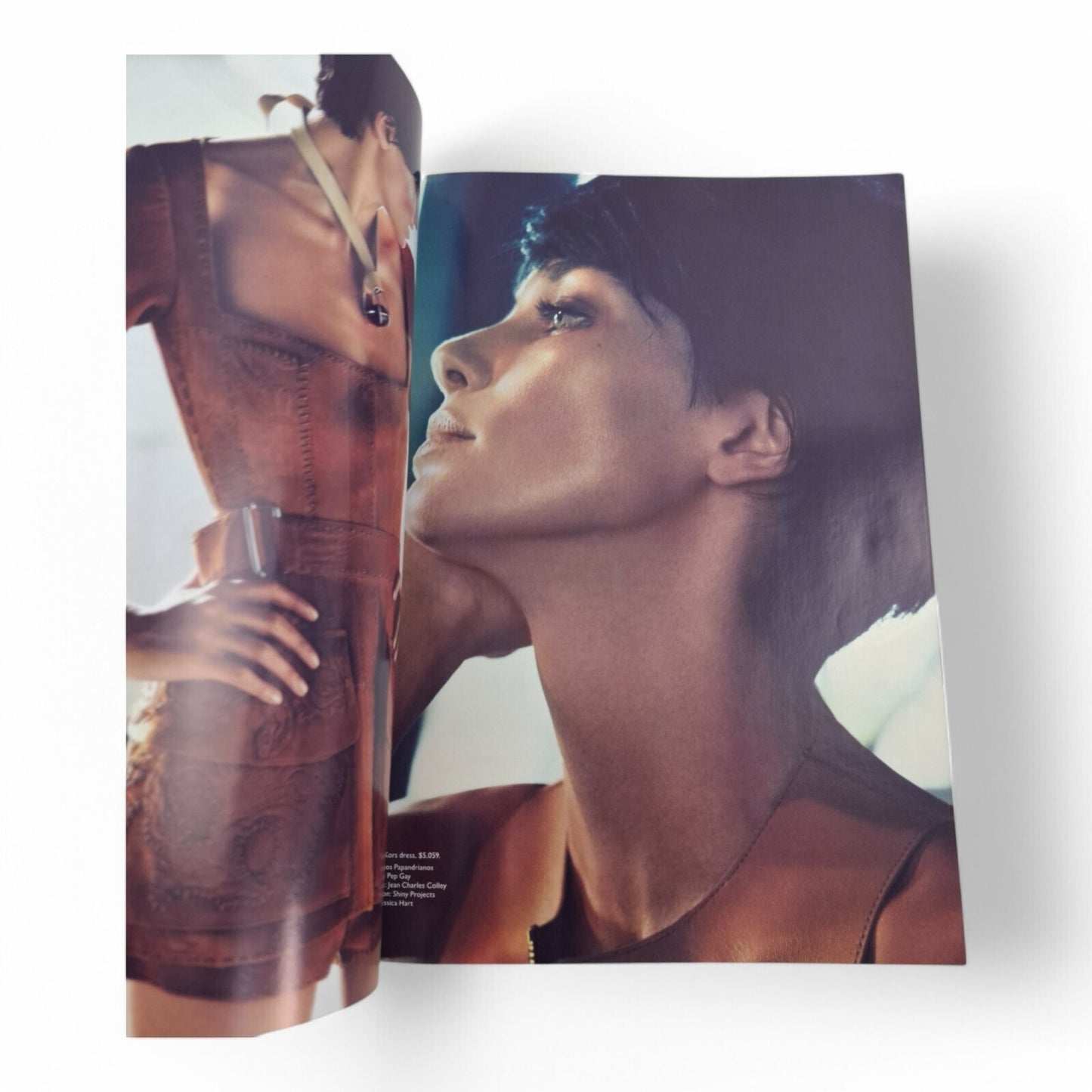 Vogue Australia Magazine January 2014 Jessica Hart on Cover